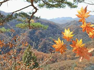 买打胎药米非司酮片流产药微信买强震过后 德雷克海峡余震频发