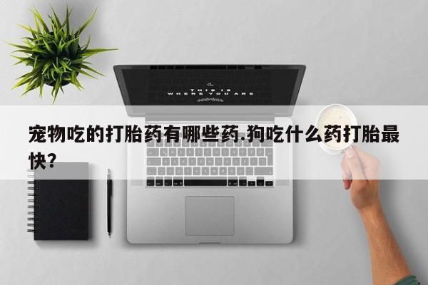 买打胎药米非司酮片流产药微信买宠物吃的打胎药有哪些药.狗吃什么药打胎最快？