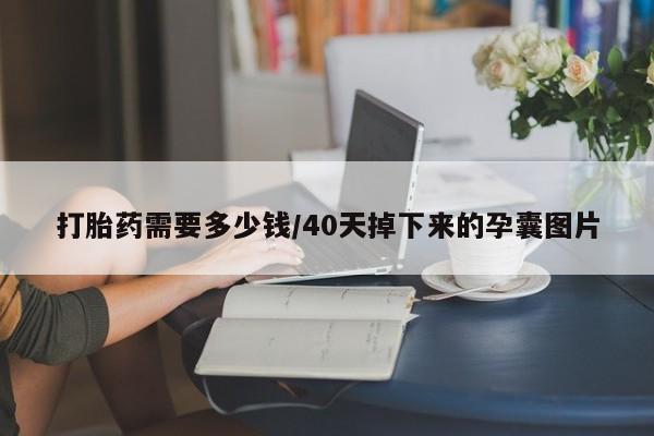 买打胎药米非司酮片流产药微信买打胎药需要多少钱/40天掉下来的孕囊图片